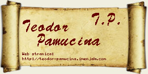 Teodor Pamučina vizit kartica